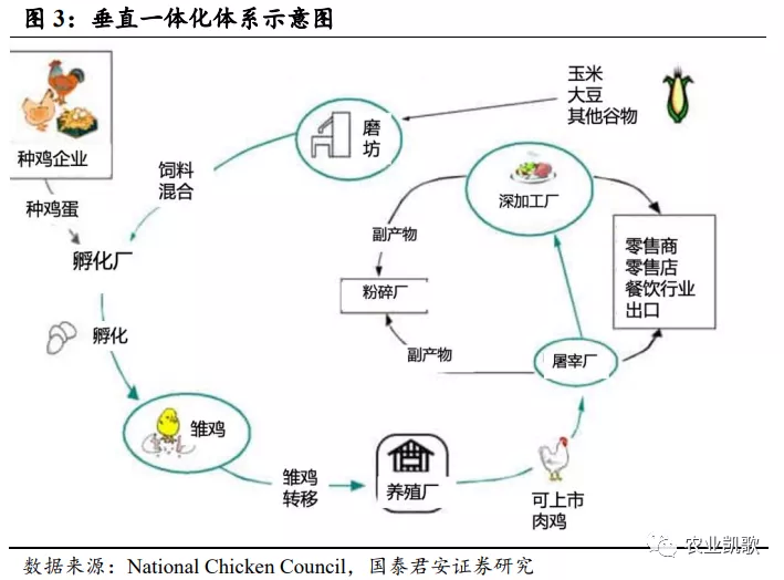 供需精准对接共探发展侨乡青田选品交流赋能西餐产业(图1)